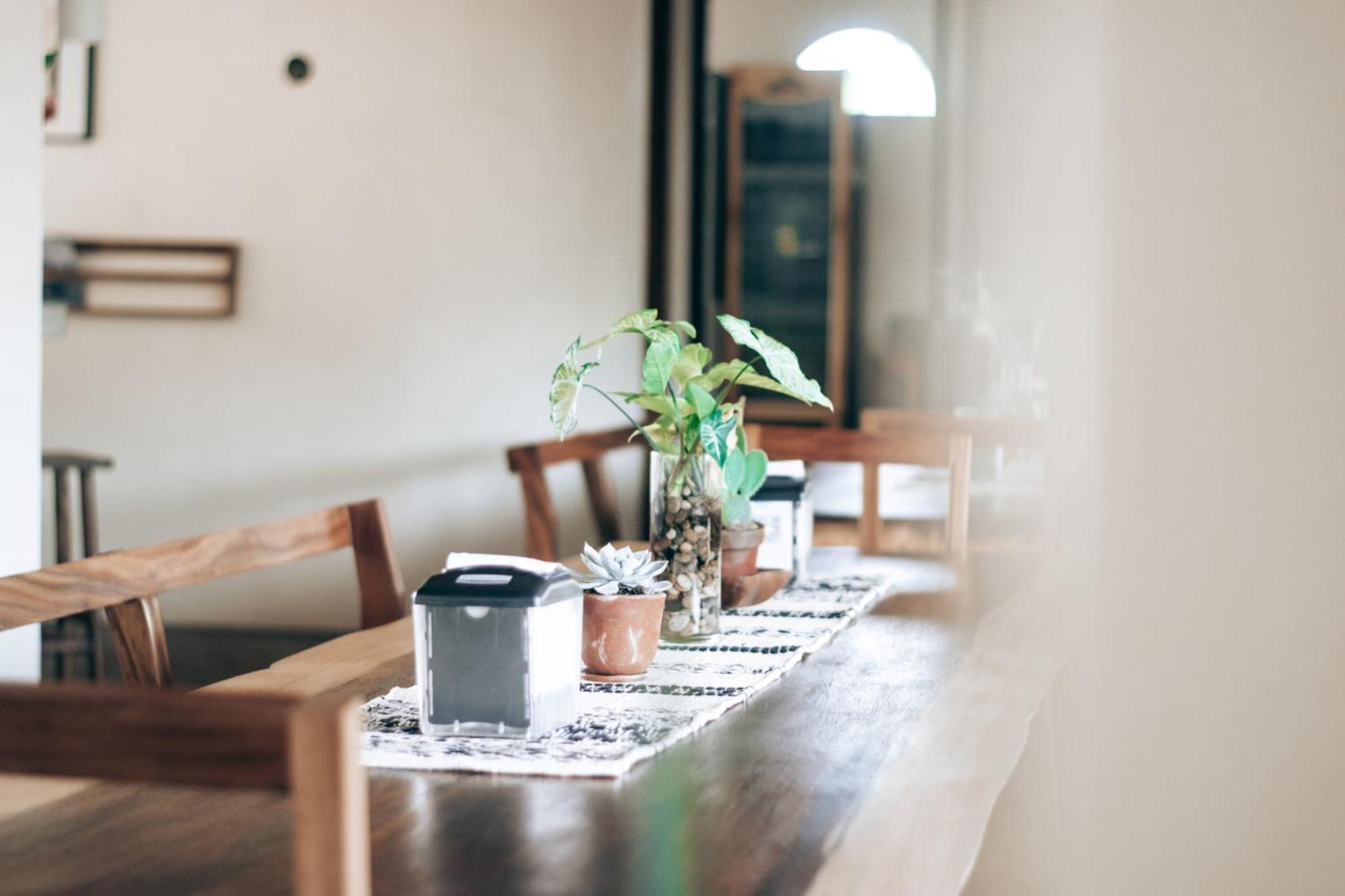 El Paredón Buena Vista Caracola Boutique Hostel מראה חיצוני תמונה